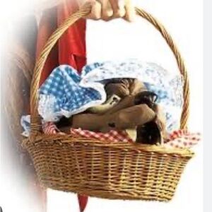 Little Red Riding Hood Basket